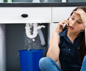 About Sewer Line Replacement Bushnell, NE